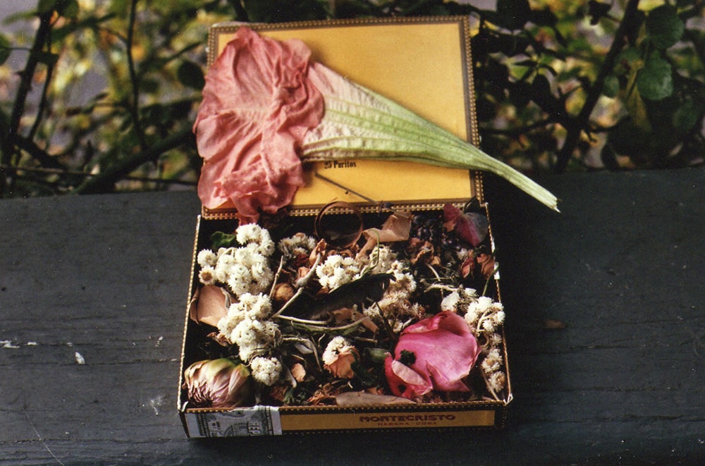 dried flowers in a box